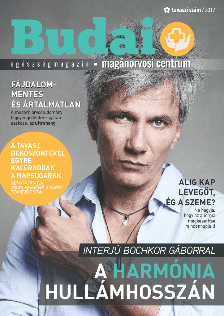 Budai_Egeszsegmagazin_2017_tavasz Bochkor Gábor.pdf